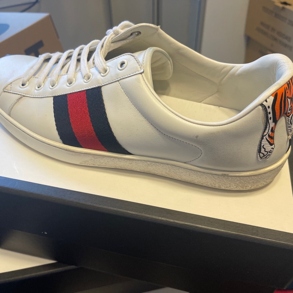 Gucci sneaker